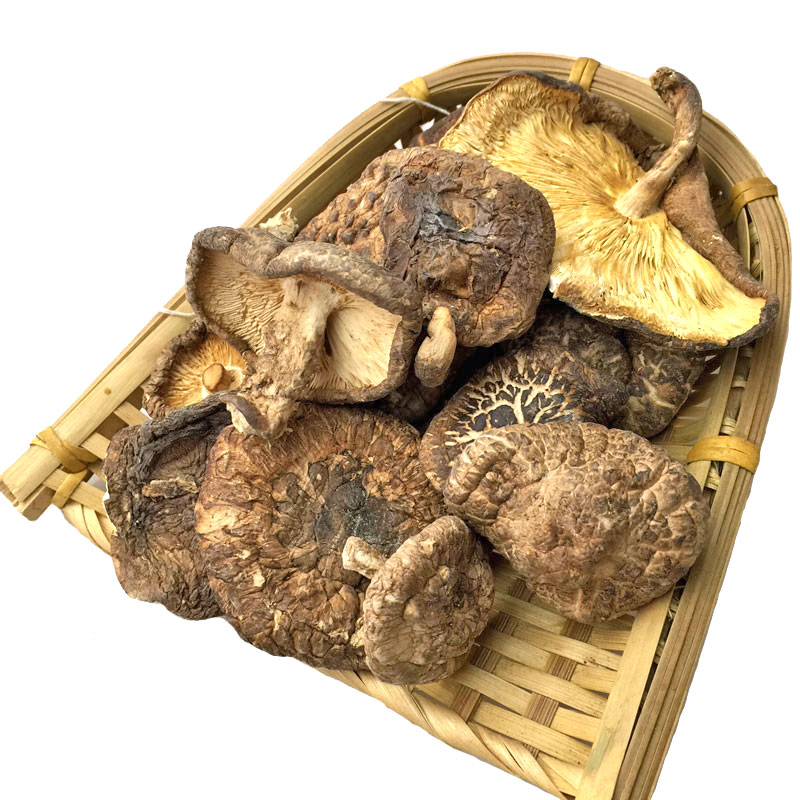 Changbai Mountain Dried Fragrant Mushroom Hand-picked By Local Mountain Farmers 500g for Stir-frying, Cooking, and Making Soups (Free Shipping Worldwide) 吉林长白山特产当地山农亲手采摘的长白山香菇500g 炒菜煮汤（全球包邮）