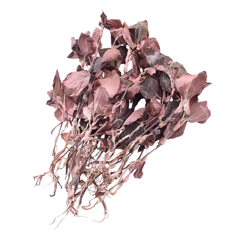 Original Ecological Growth Dry Golden Thread Lotus Golden Thread Orchid Hand-picked in Deep Mountain Forest and Farm Natural Drying (Free Shipping Worldwide)