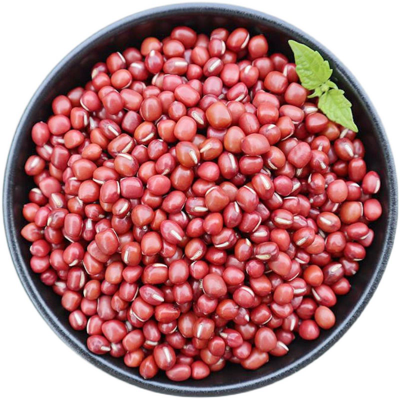 【Heritage Variety Hand-Grown by Local Elders】Farm-Grown Traditional Red Adzuki Beans | Fresh, Unpolished & Pure | Natural Grains for Healthy Cooking (Free Shipping Worldwide)