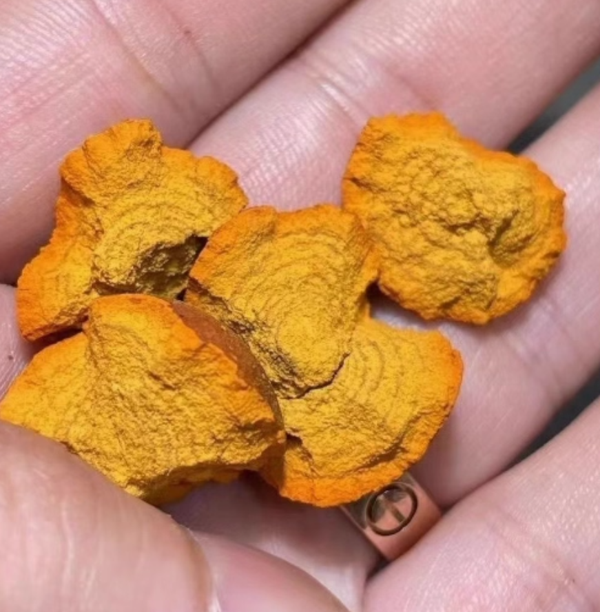 Natural Calculus Bovis (Niu Huang) | Authentic Dried Bovine Bezoar | Raw Wild Gallstone Herb Material | Non-Sulfur, Genuine Quality|Free Shipping Worldwide