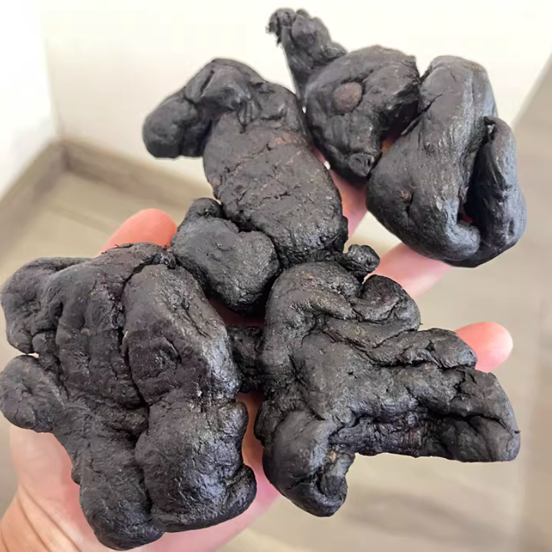 Wild Polygonatum Rhizome – 9 Steamed & 9 Sun-Dried | 25–35 Years Aged | Premium Wild Harvest | 500g | Free Shipping