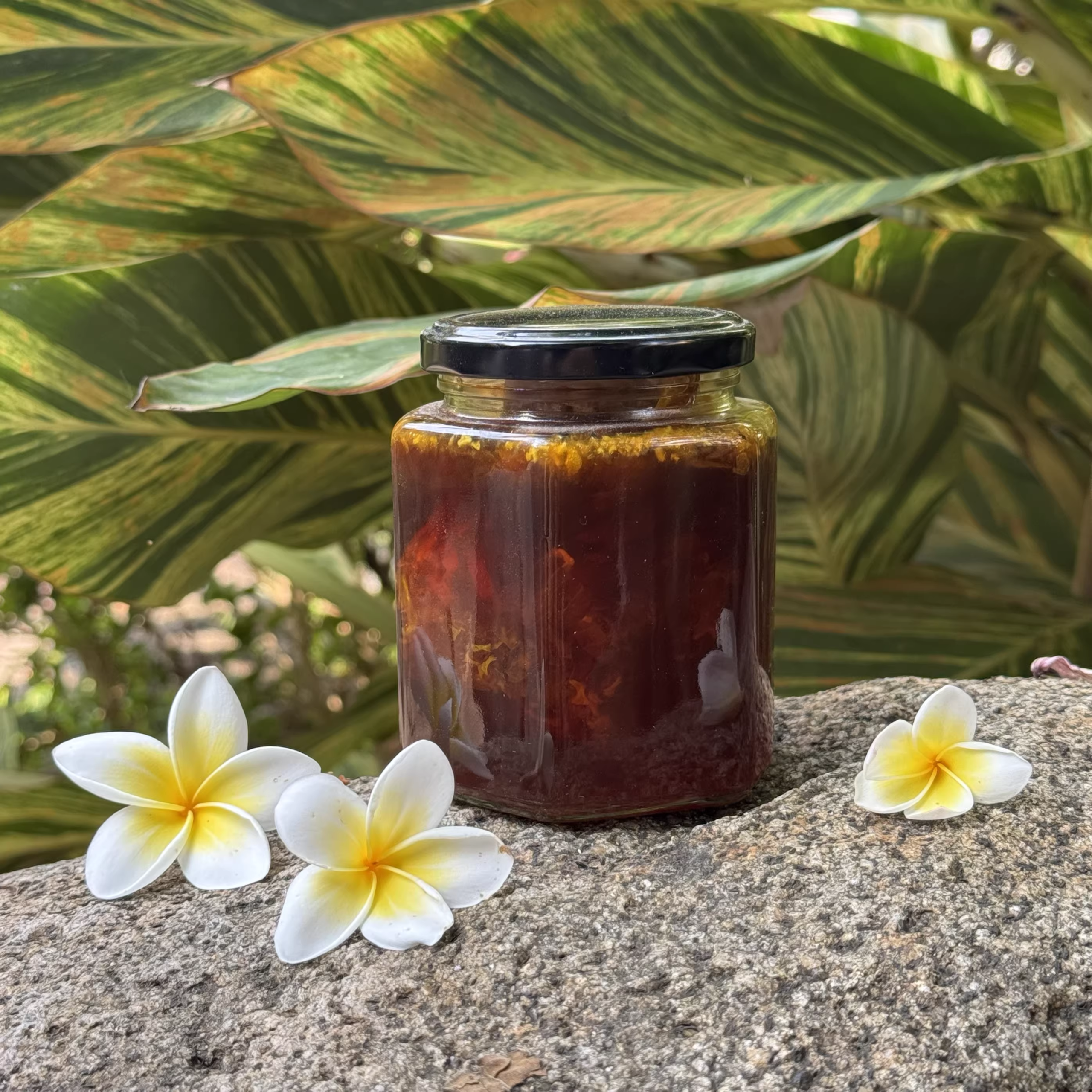 Wild Cliff Honey with Honeycomb – Xishuangbanna Tropical Forest Raw Honey, Multifloral, Medicinal, Old Comb Honey, 500g Bottle