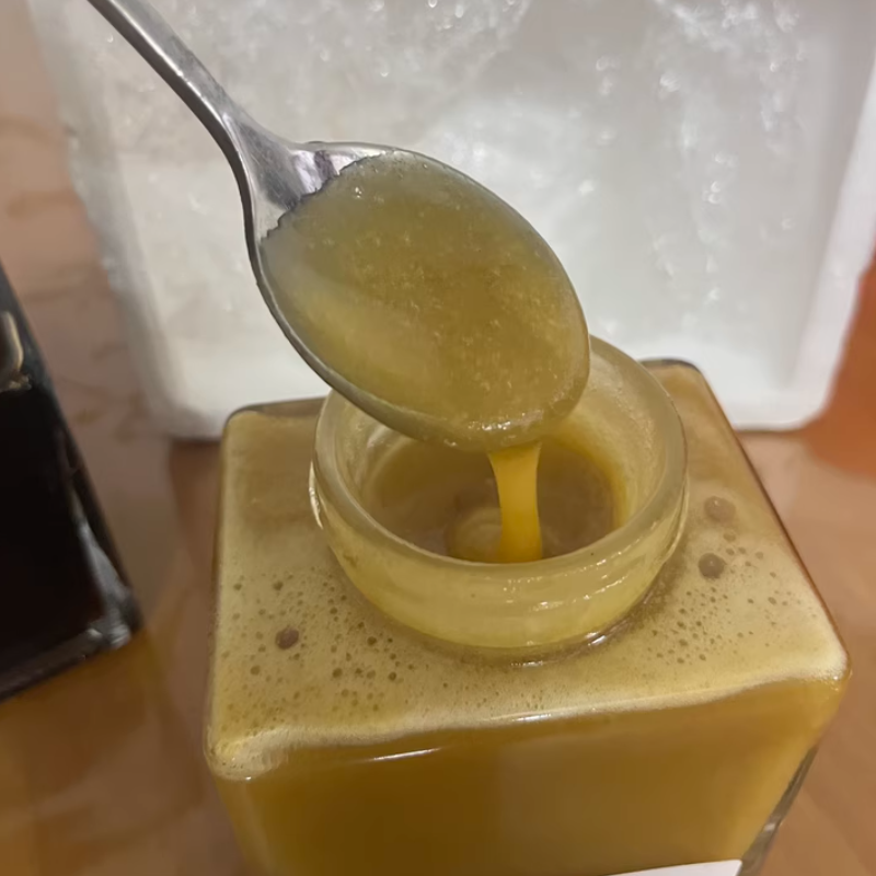 Wild Sour Stingless Bee Honey from Tropical Rainforest – Raw Multiflora Honey (500g / 1000g)–Worldwide Free Shipping