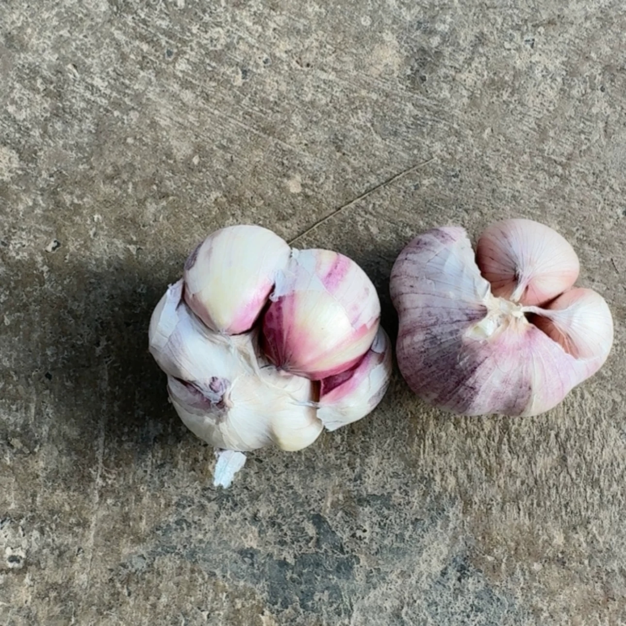 Yunnan Purple Garlic (San Ya Garlic) – Hand-Picked Semi-Dried Garlic from Dali, 1.5kg–4.5kg – Free Worldwide Shipping