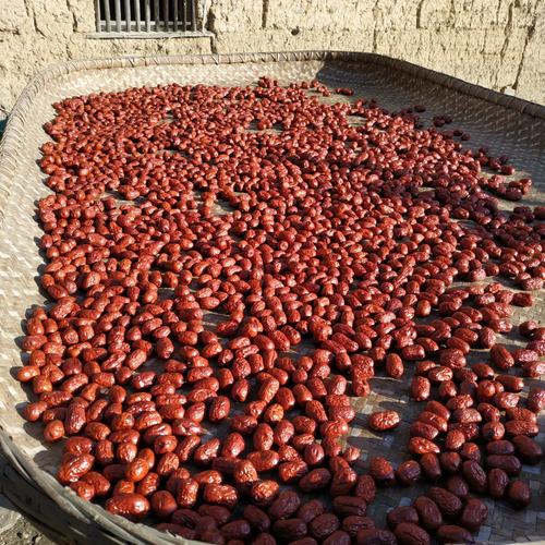 Wild Mountain Dried Red Dates (Jujube) 500g – Naturally Sun-Dried, No Sulfur, Pitted Herbal Slices | Free Worldwide Shipping