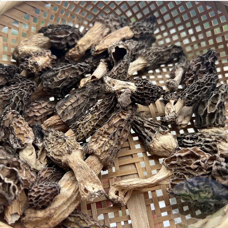 Premium Wild Tibetan Morel Mushrooms – 50g | Direct From Tibet | Hand-Picked Wild Morchella | Exceptional Quality | Free Worldwide Shipping