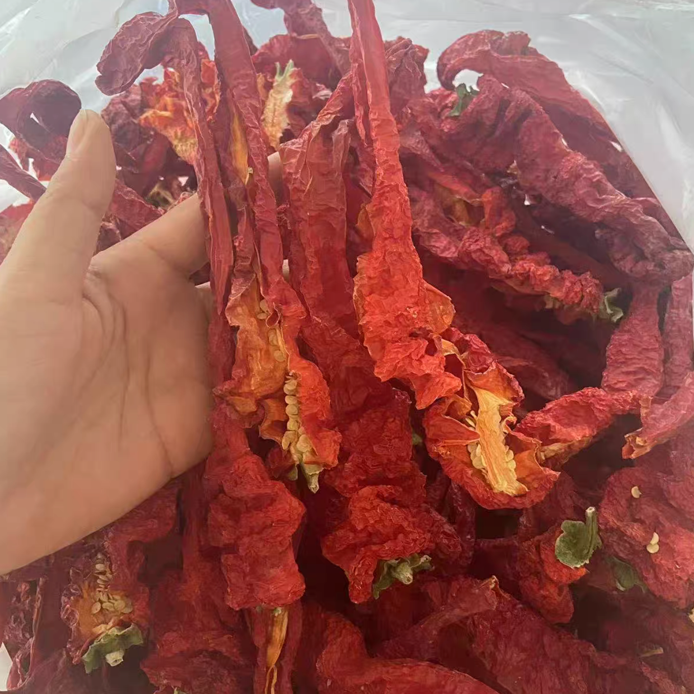 Xinjiang Hami Santanghu Dried Chili Peppers – 2025 New Harvest, Sun-Dried Farm Fresh, Thick & Aromatic 500g | Free Worldwide Shipping